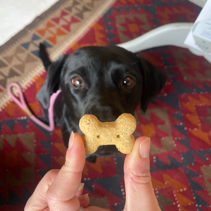 Banana, Apple & Blueberry Bones