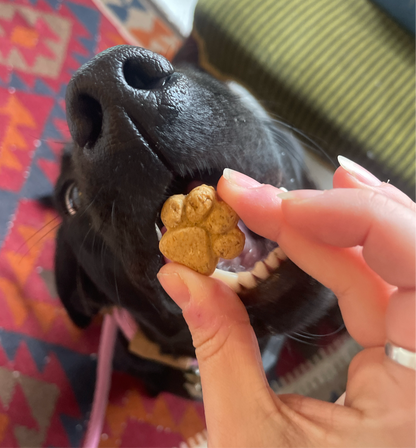 Garlic & Chicken Paws Dog Biscuits Gluten/Grain Free