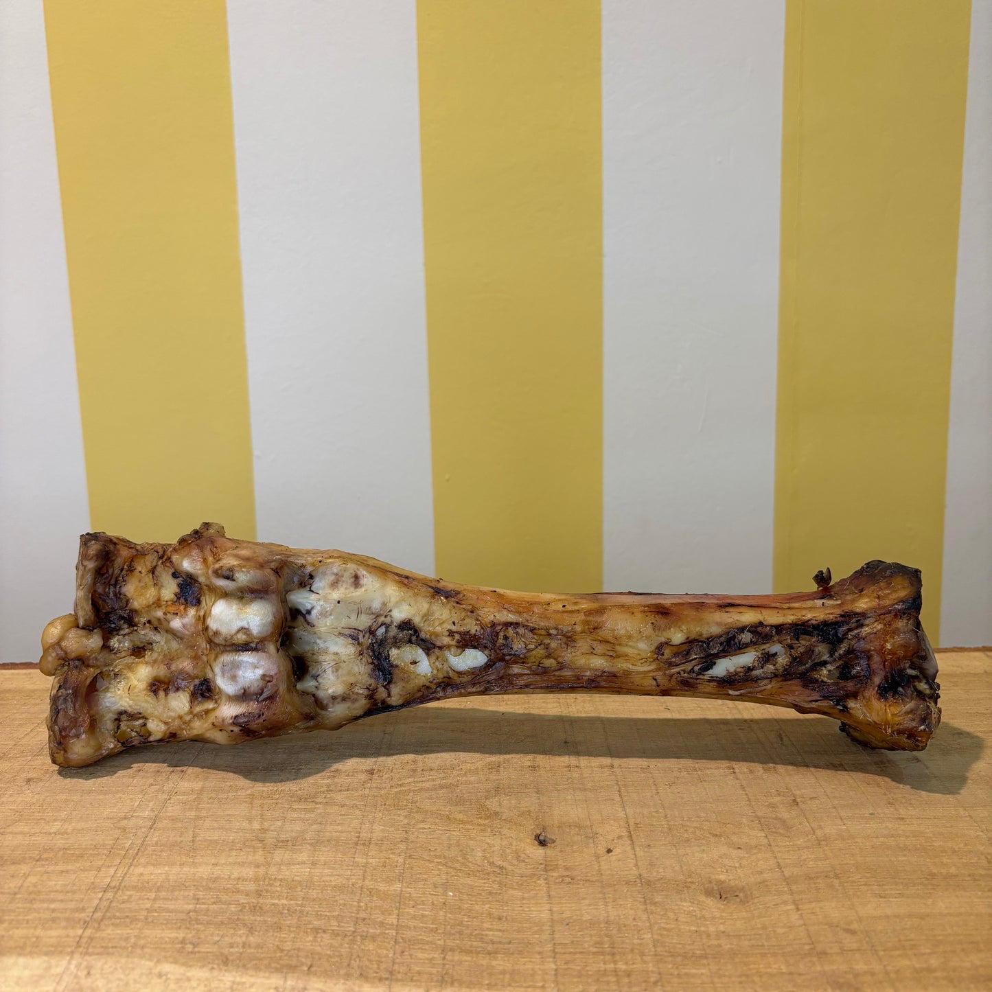 Beef Leg Bone